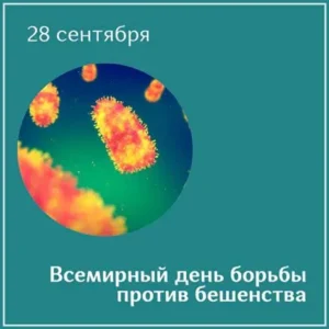 Всемирный день борьбы против бешенства