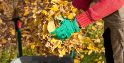 Осень – время навести порядок!