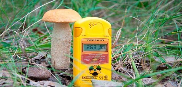 Дары природы и радиация
